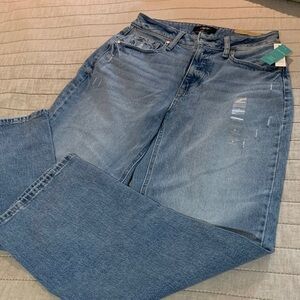 Edgely Light Blue relaxed boyfriend wide leg jeans